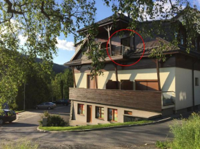 Apartman U sjezdovky, Velké Karlovice